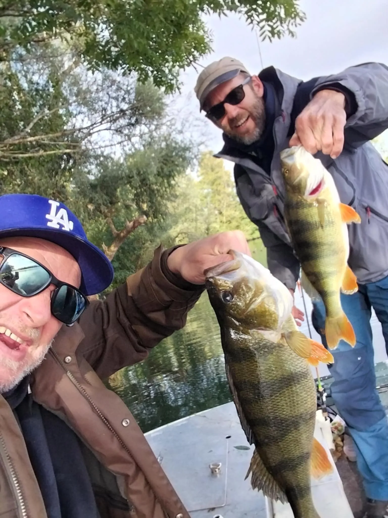 Etang de 17ha avec une tiny house 6 couchages