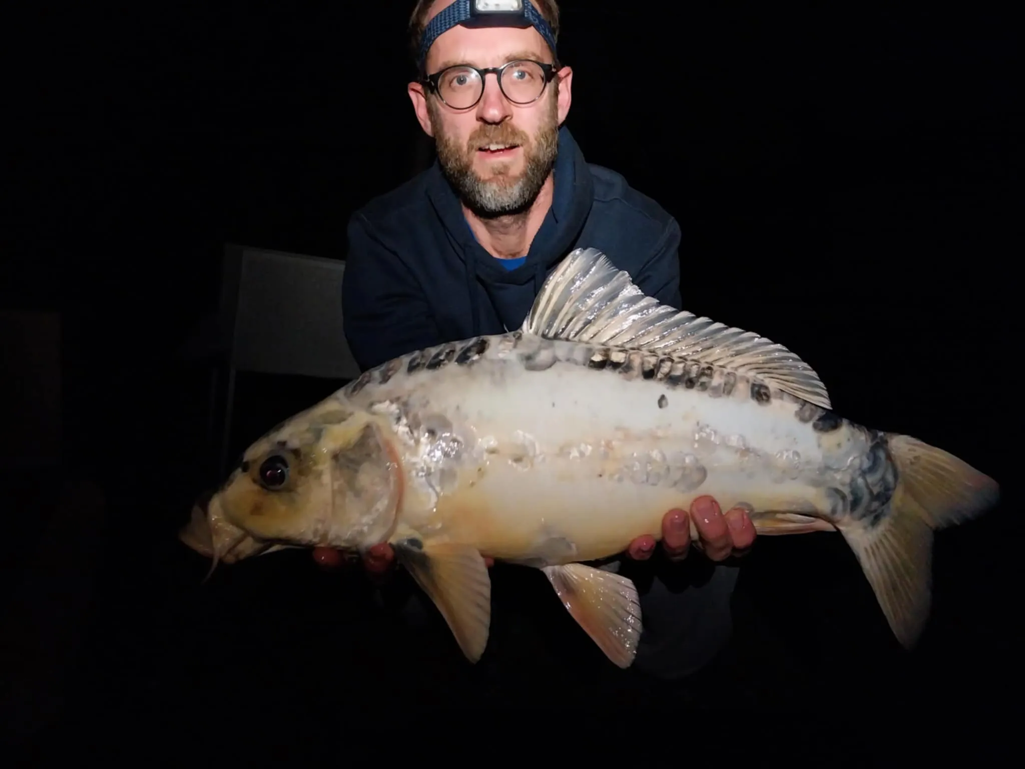 Etang de 17ha avec une tiny house 6 couchages
