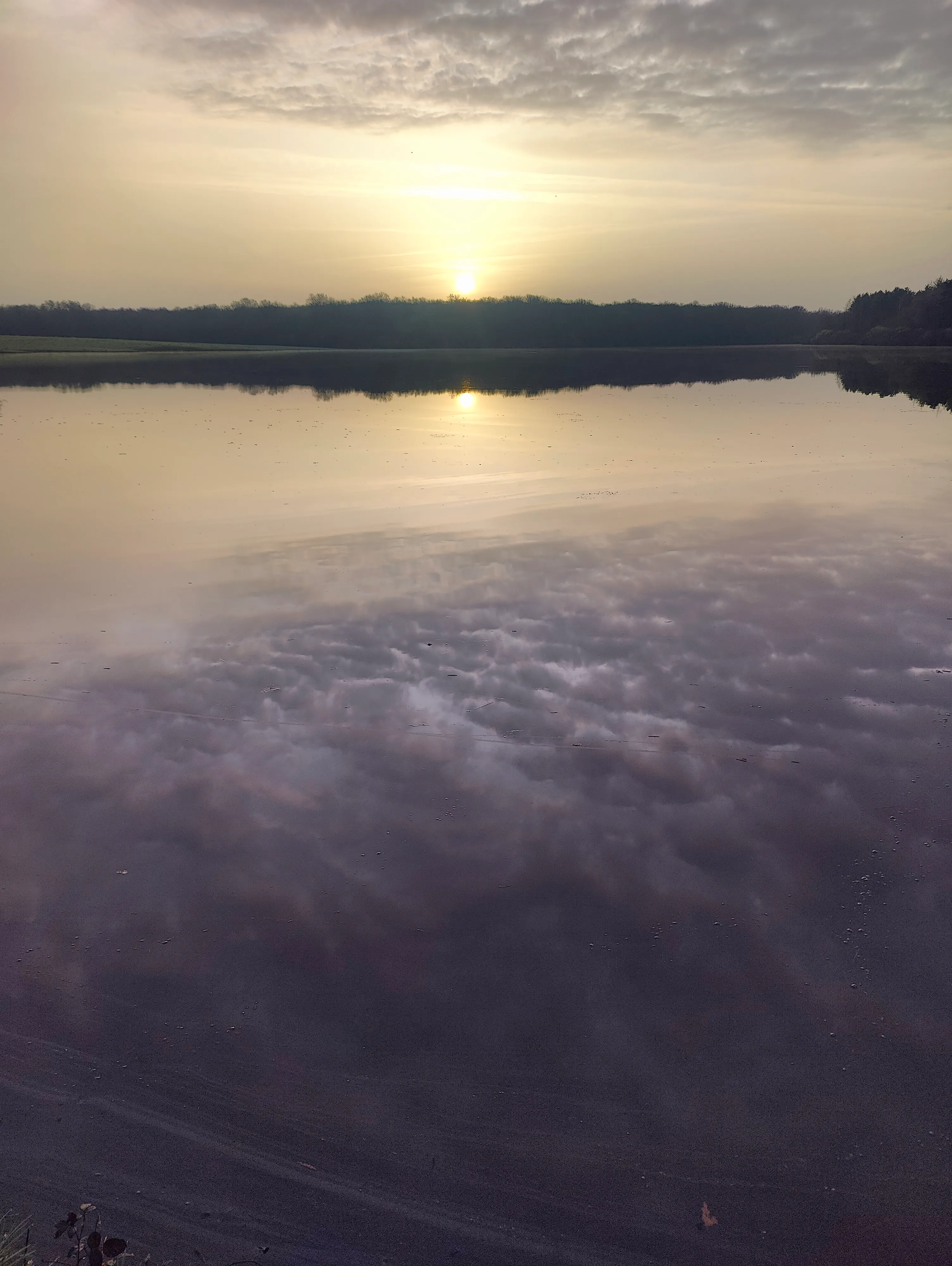 Pond of 39.54 ac; upscale cottage, nature, calm, beauty, serenity (7 beds)