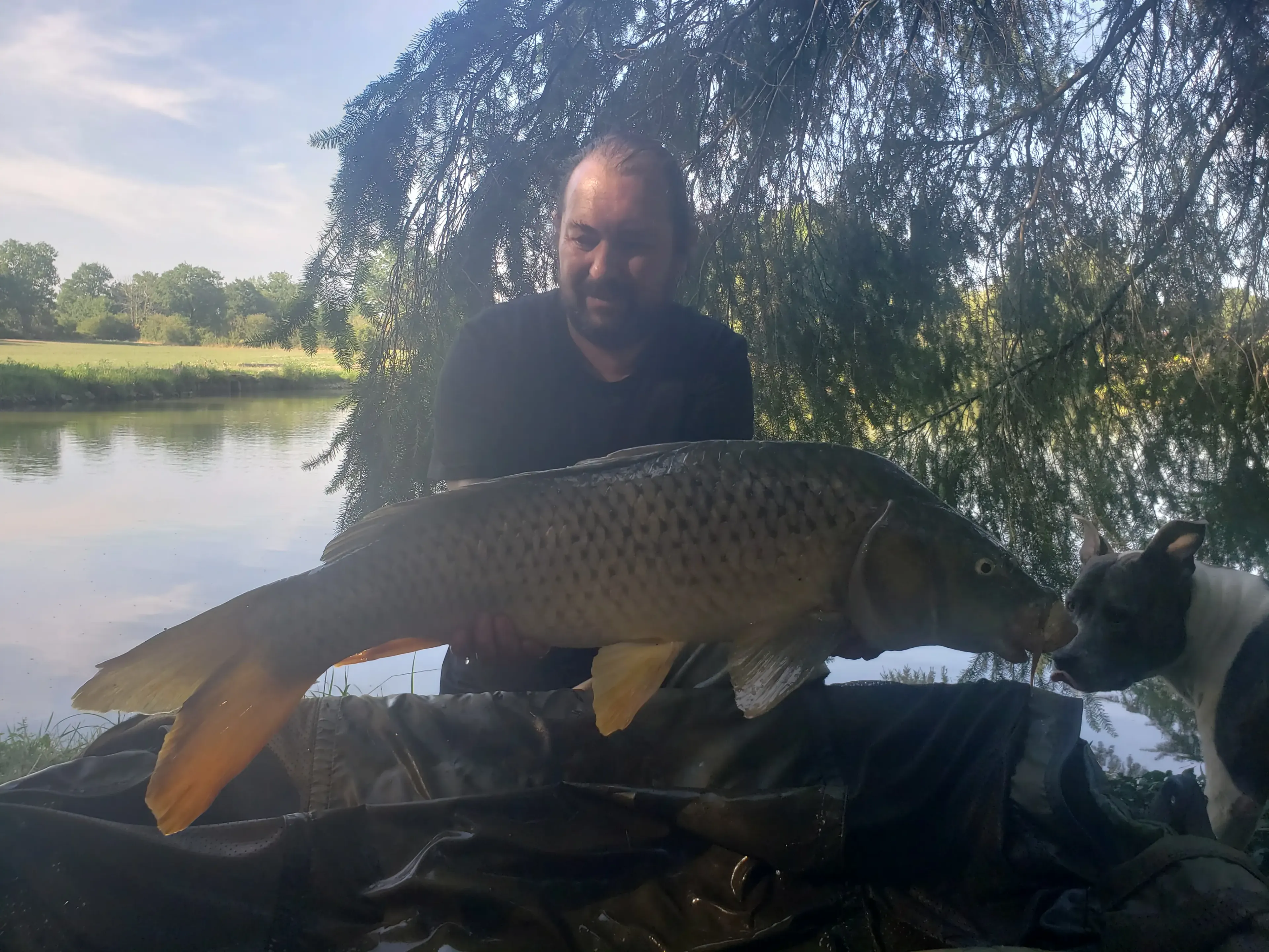 Etang au calme, pêche et détente avec terrain de pétanque