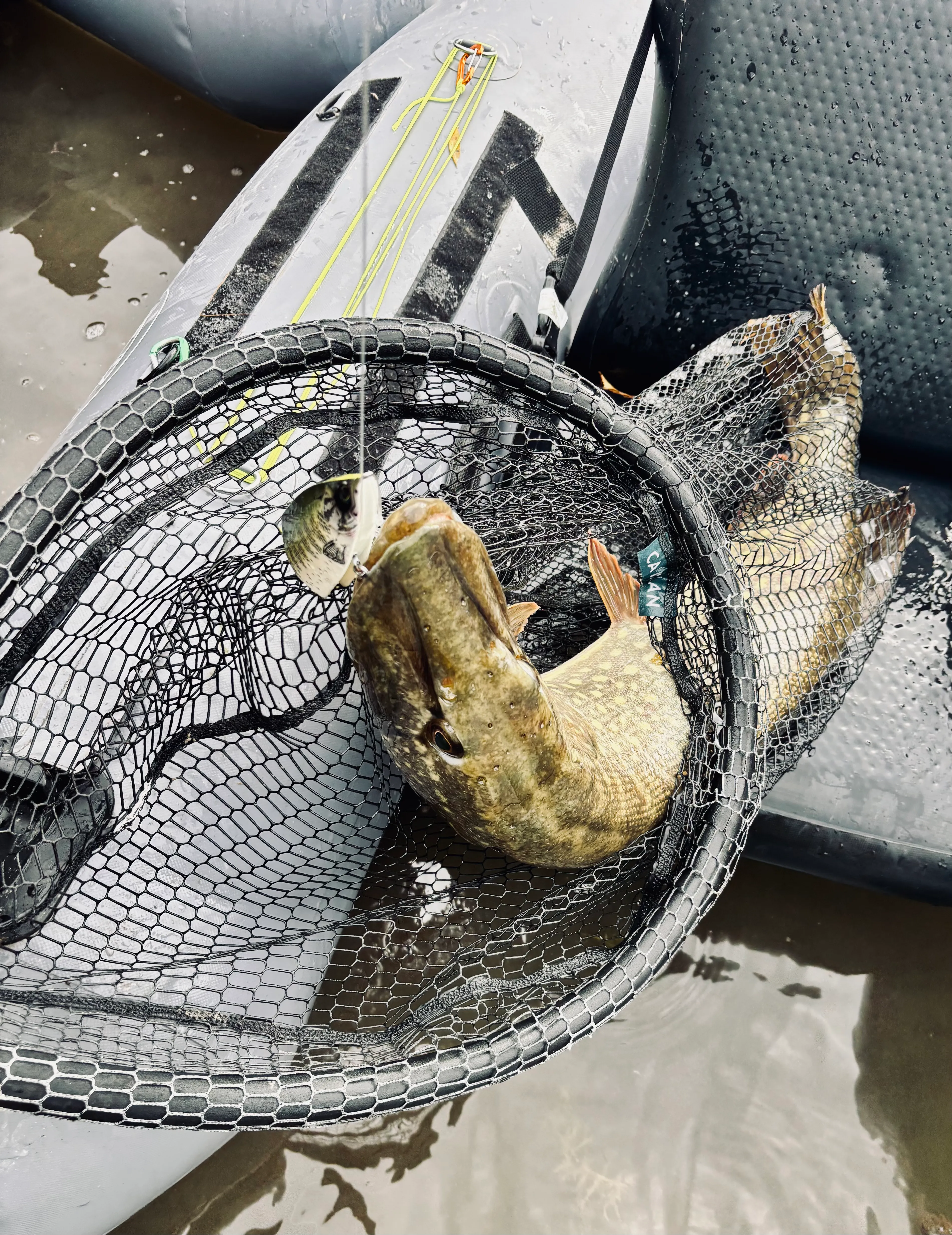 Mobil-home avec étang poissonneux dans le Grand Est