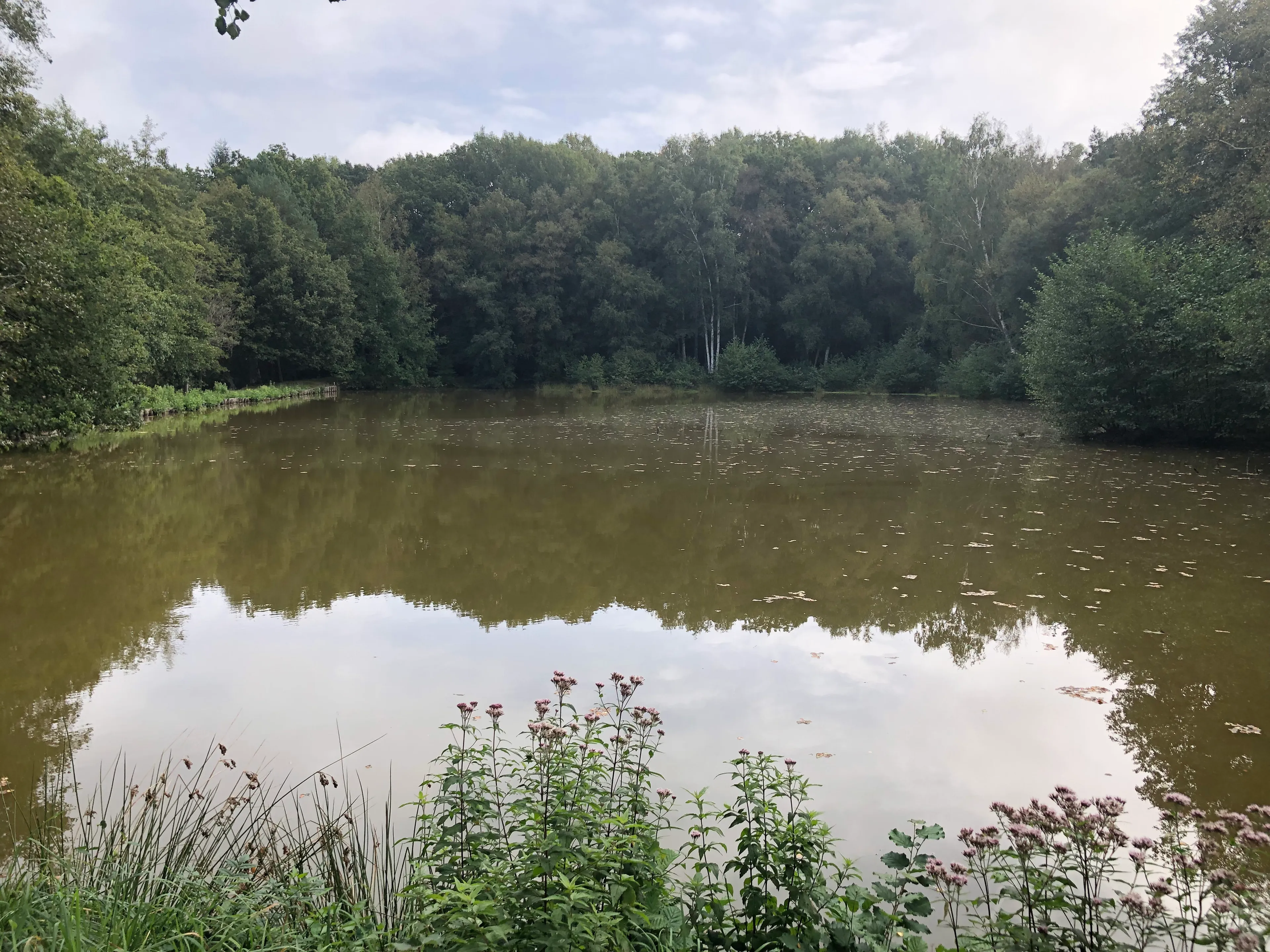 Gite de pêche dans l'Orne, chalet avec accès à 4 étangs privés