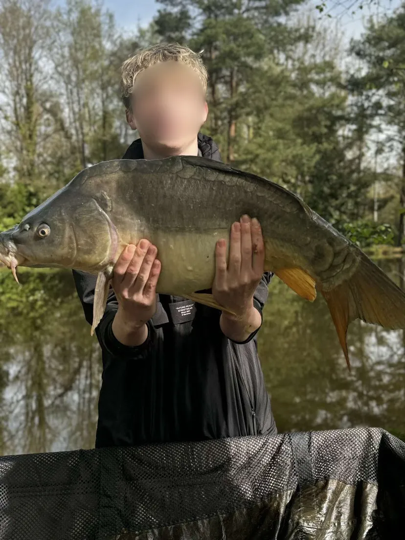Gite de pêche dans l'Orne, chalet avec accès à 4 étangs privés