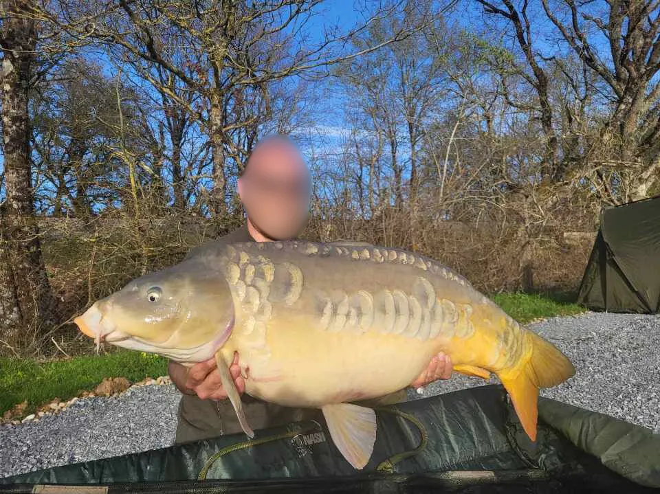 Séjour pêche en Vienne – pour 2 à 4 personnes au bord d’un étang privé de 3ha