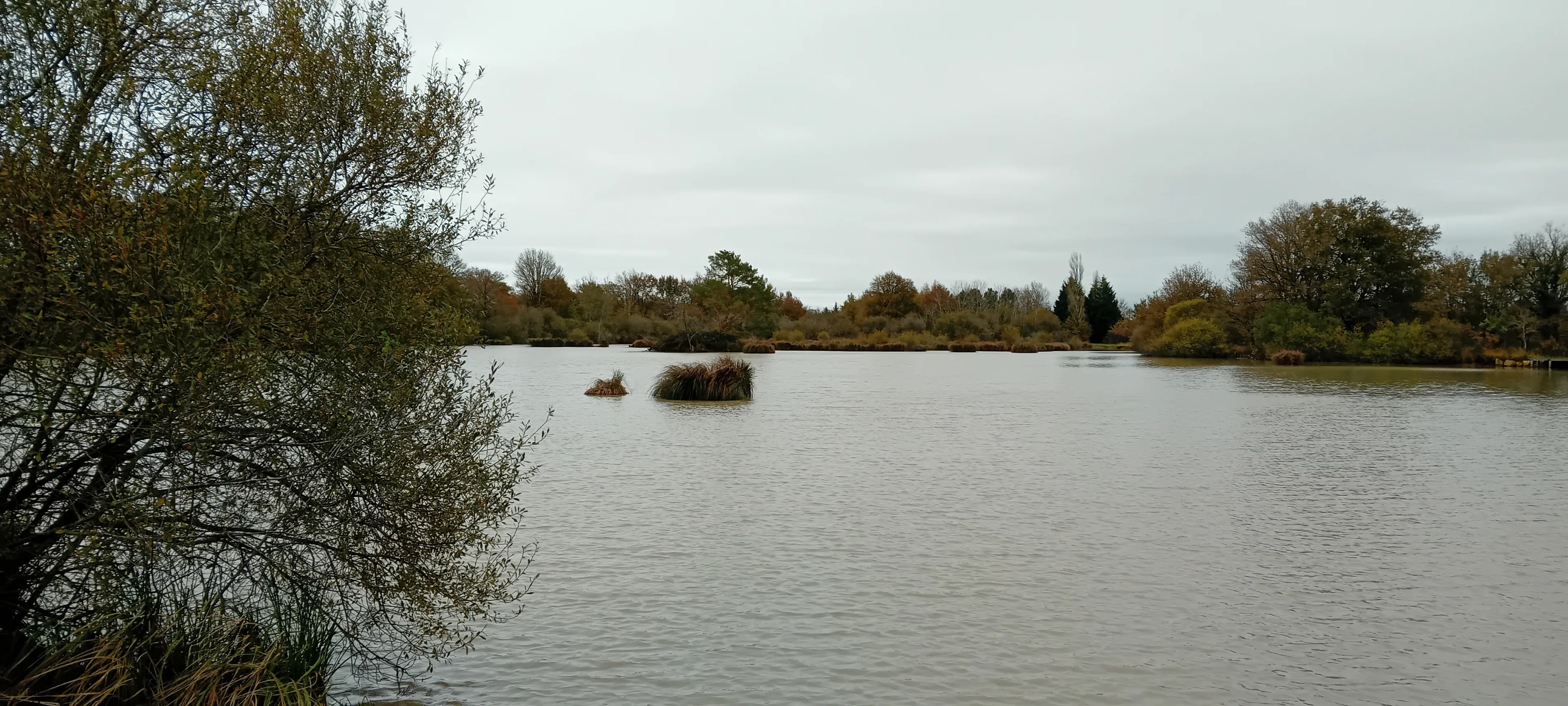 Séjour pêche en Vienne – pour 2 à 4 personnes au bord d’un étang privé de 3ha