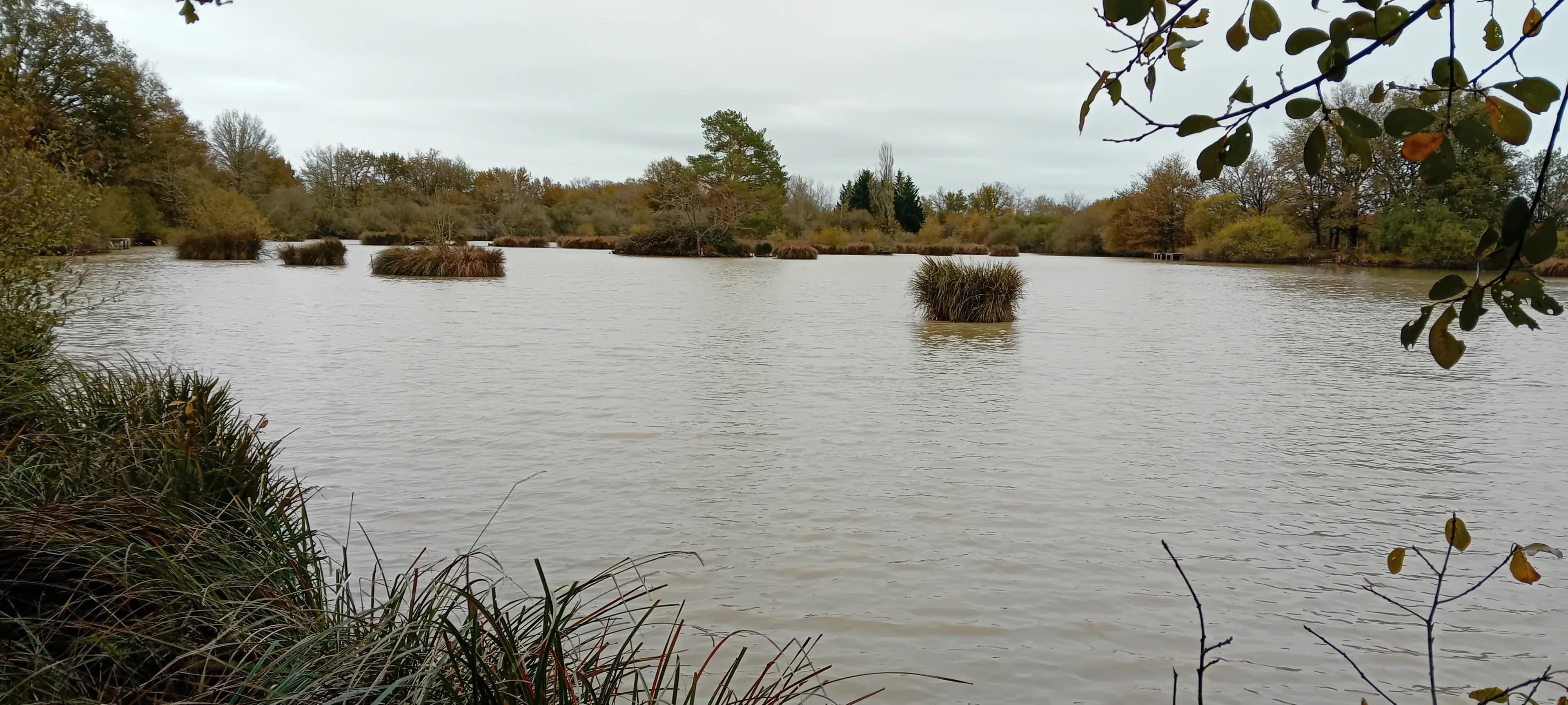 Séjour pêche en Vienne – pour 2 à 4 personnes au bord d’un étang privé de 3ha