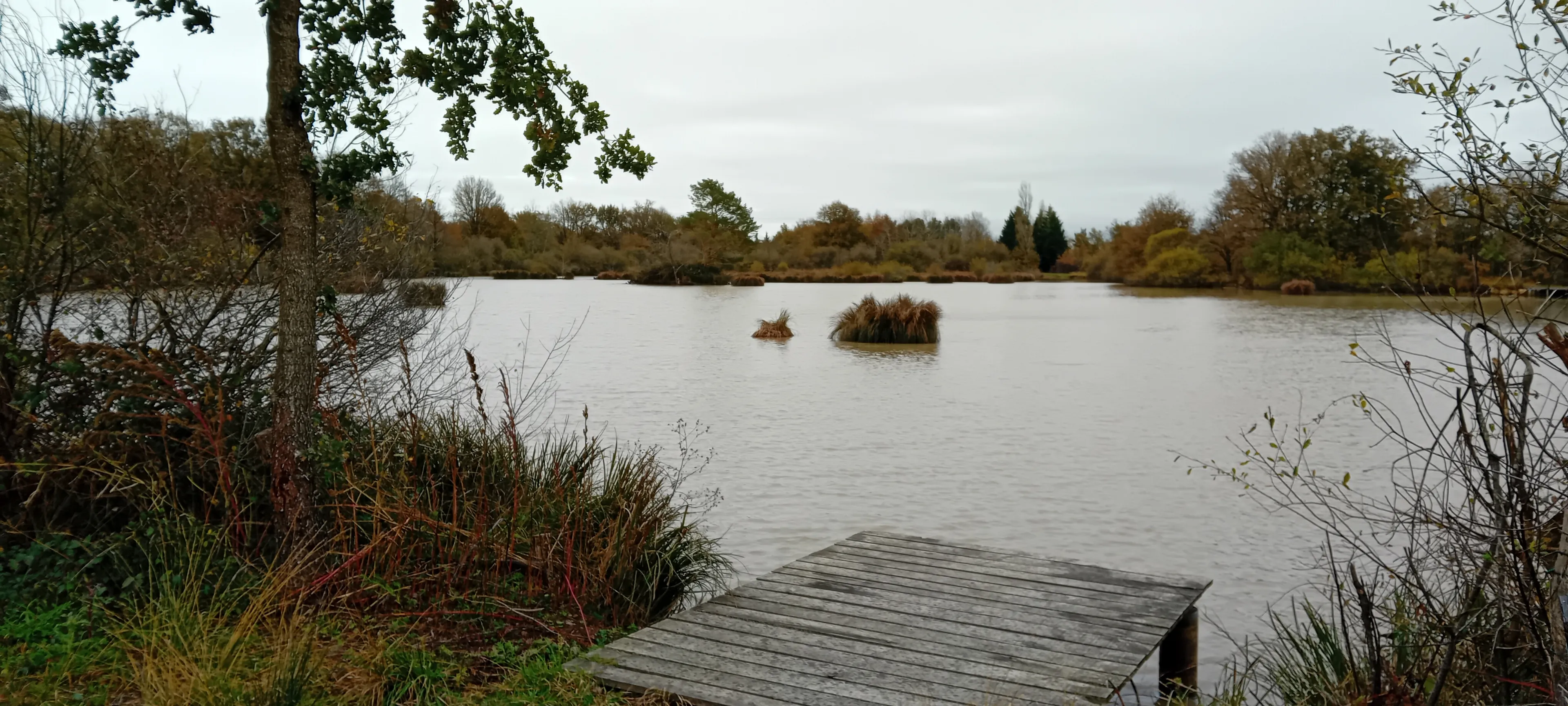 Séjour pêche en Vienne – pour 2 à 4 personnes au bord d’un étang privé de 3ha
