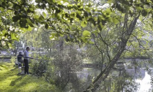 Gîte 3 à 5 personnes en Belgique, à deux pas de la frontière française, avec accès à 3 étangs