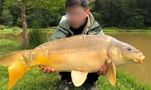 Gîte 3 à 5 personnes en Belgique, à deux pas de la frontière française, avec accès à 3 étangs