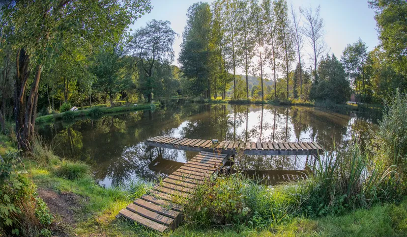 Séjour en Belgique, près de la frontière – Gîte 6 à 8 personnes avec étangs privés