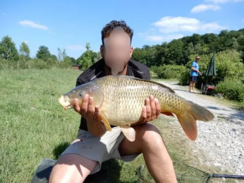 Séjour en Belgique, près de la frontière – Gîte 6 à 8 personnes avec étangs privés