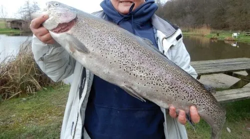 Gîte en Belgique frontalière – 12 à 14 personnes – En bord d’étangs