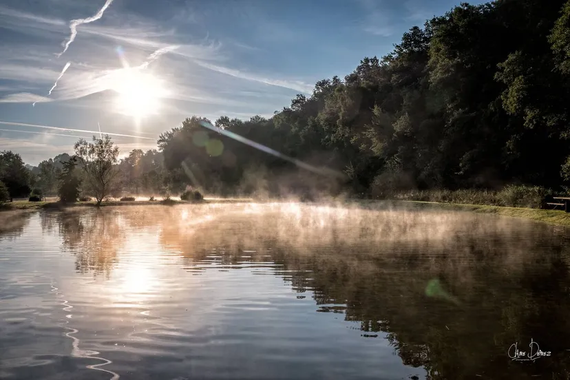 Cabane perchée en Wallonie – de 2 à 4 personnes – en lisière de rivière sauvage et d'étangs de pêche