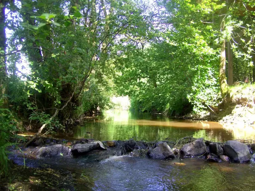 Cabane perchée en Wallonie – de 2 à 4 personnes – en lisière de rivière sauvage et d'étangs de pêche