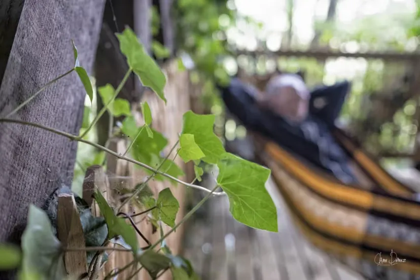 Cabane perchée en Wallonie – de 2 à 4 personnes – en lisière de rivière sauvage et d'étangs de pêche