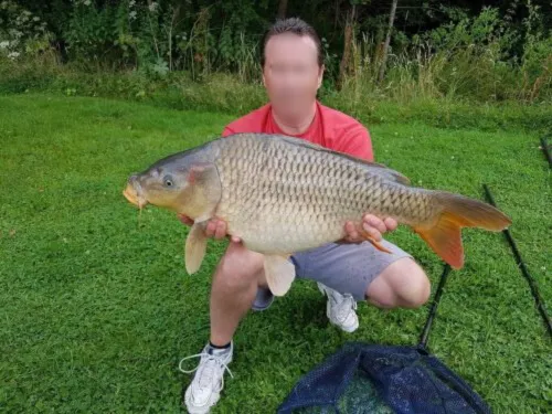 Cabane perchée en Wallonie – de 2 à 4 personnes – en lisière de rivière sauvage et d'étangs de pêche
