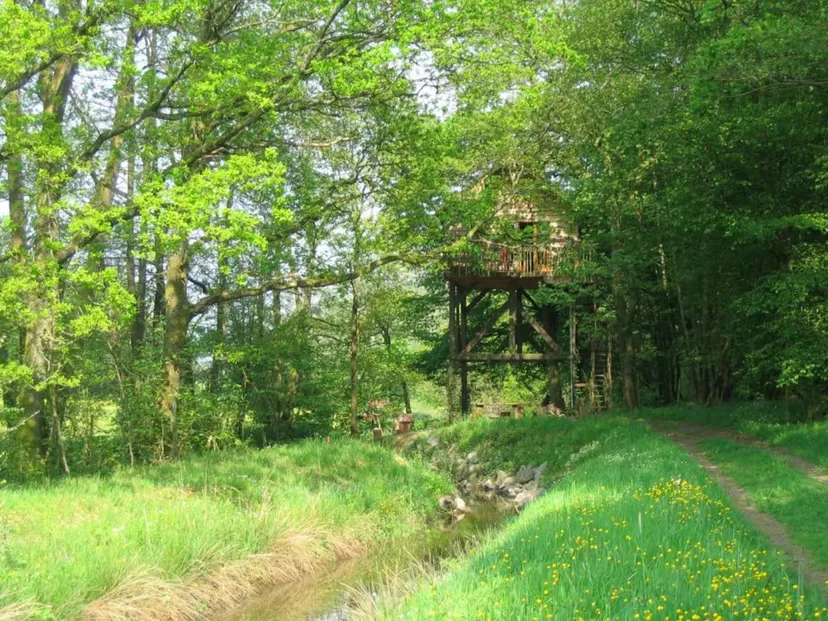 Cabane perchée en Wallonie – de 2 à 4 personnes – en lisière de rivière sauvage et d'étangs de pêche
