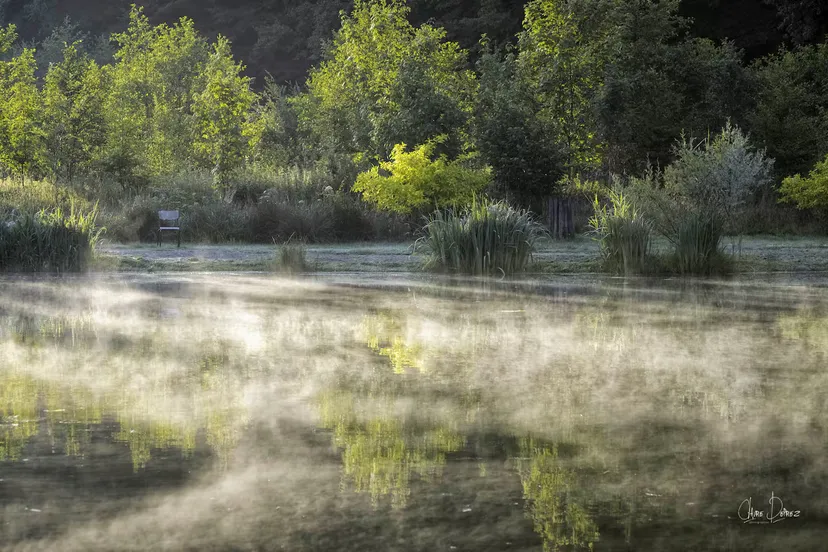 Cabane perchée en Wallonie – de 2 à 4 personnes – en lisière de rivière sauvage et d'étangs de pêche