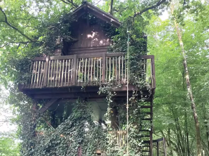 Cabane perchée en Wallonie – de 2 à 4 personnes – en lisière de rivière sauvage et d'étangs de pêche