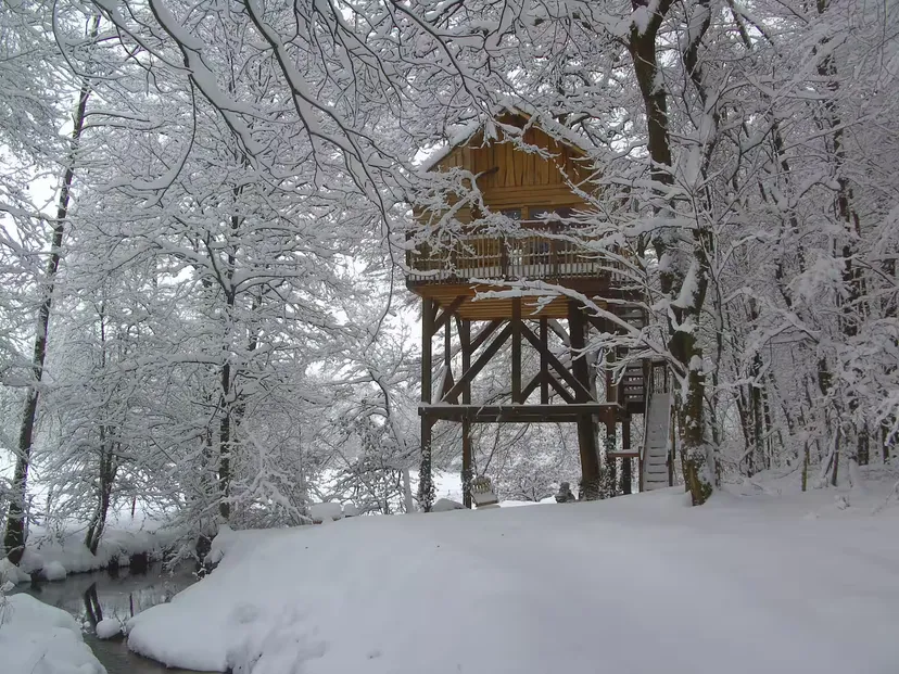 Cabane perchée en Wallonie – de 2 à 4 personnes – en lisière de rivière sauvage et d'étangs de pêche