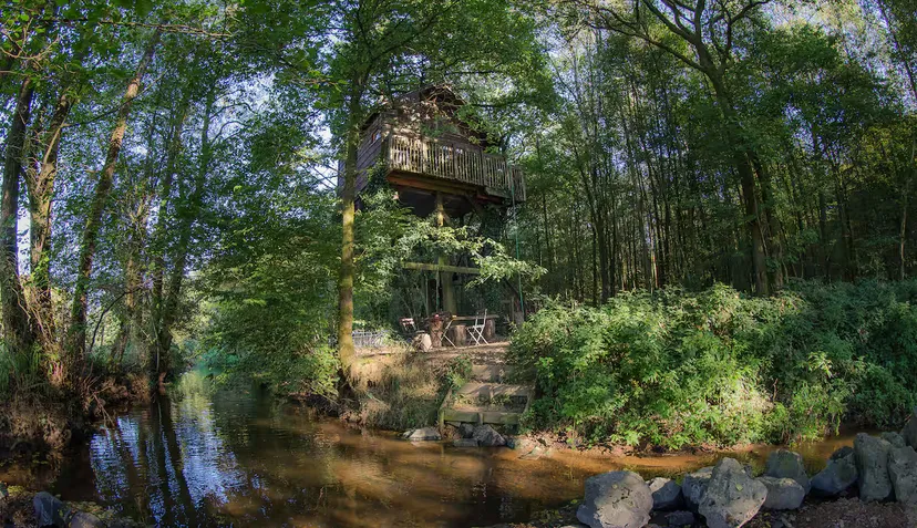 Cabane perchée en Wallonie – de 2 à 4 personnes – en lisière de rivière sauvage et d'étangs de pêche