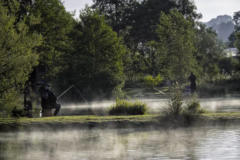 Cabane perchée en Wallonie – de 2 à 4 personnes – en lisière de rivière sauvage et d'étangs de pêche
