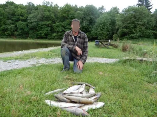 Cabane perchée en Wallonie – de 2 à 4 personnes – en lisière de rivière sauvage et d'étangs de pêche