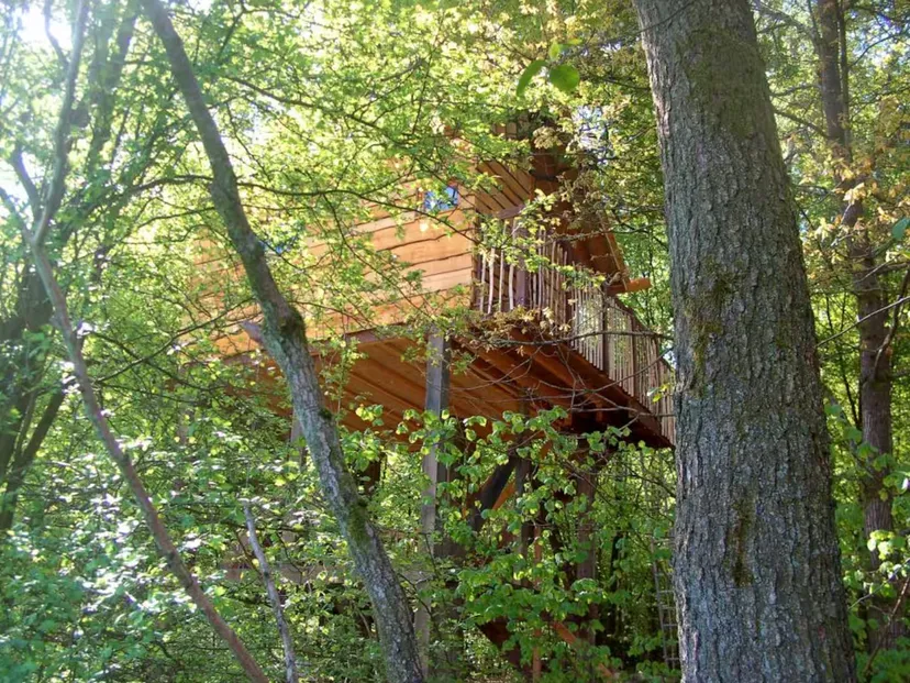 Cabane perchée en Wallonie – de 2 à 4 personnes – en lisière de rivière sauvage et d'étangs de pêche
