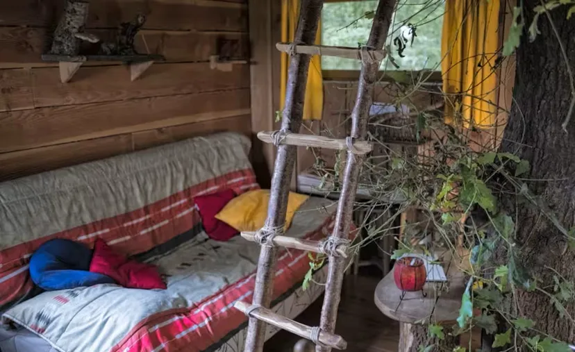 Cabane perchée en Wallonie – de 2 à 4 personnes – en lisière de rivière sauvage et d'étangs de pêche