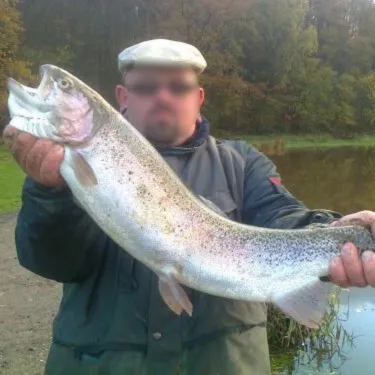 Cabane perchée en Wallonie – de 2 à 4 personnes – en lisière de rivière sauvage et d'étangs de pêche
