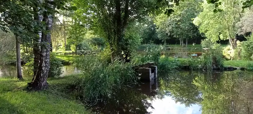Bulle insolite en bord de rivière sauvage et accès à 3 étangs en wallonnie • 2 personnes