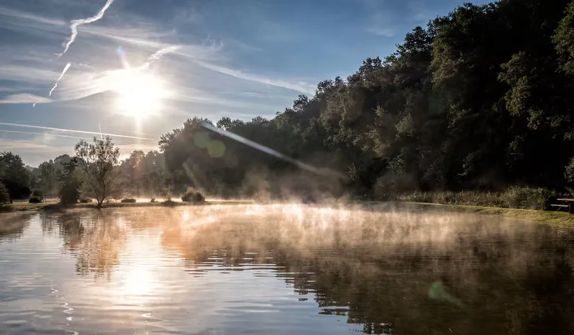 Bulle insolite en bord de rivière sauvage et accès à 3 étangs en wallonnie • 2 personnes