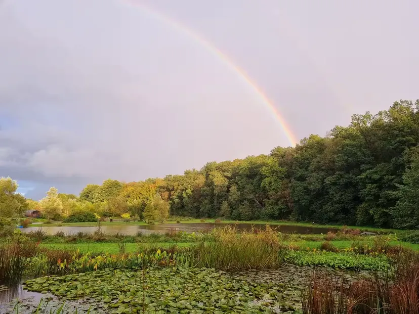 Bulle insolite en bord de rivière sauvage et accès à 3 étangs en wallonnie • 2 personnes
