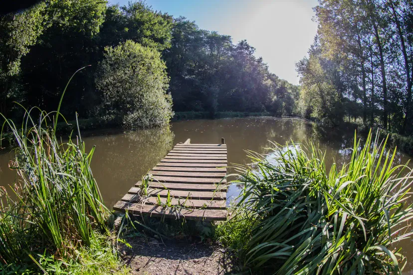 Bulle insolite en bord de rivière sauvage et accès à 3 étangs en wallonnie • 2 personnes