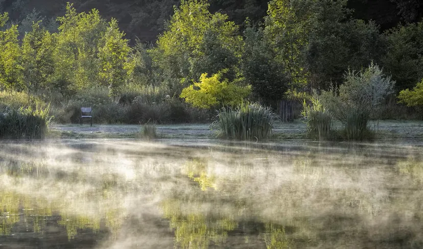 Bulle insolite en bord de rivière sauvage et accès à 3 étangs en wallonnie • 2 personnes