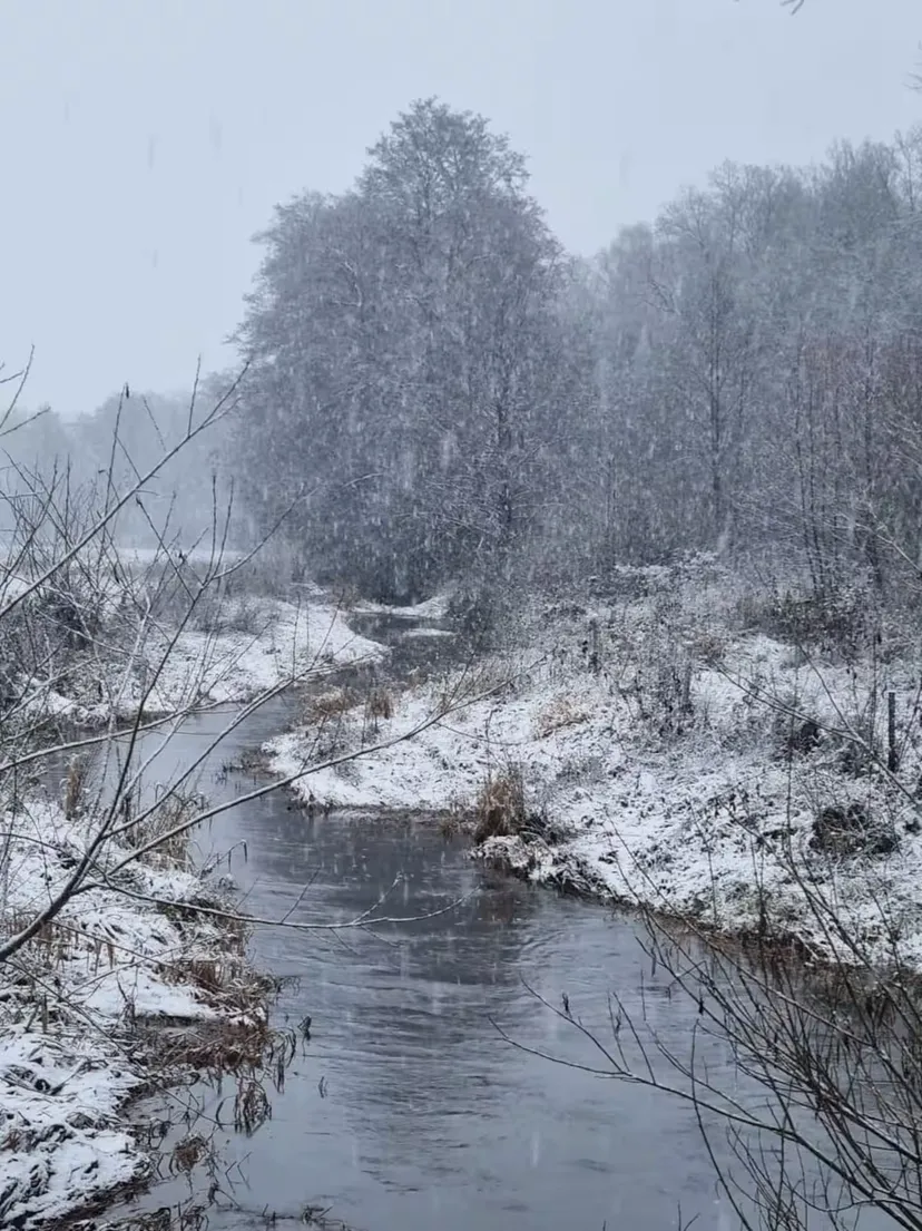 Dôme insolite en Wallonie – 2 personnes – au bord d’étangs et rivière