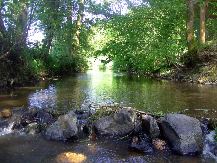 Dôme insolite en Wallonie – 2 personnes – au bord d’étangs et rivière