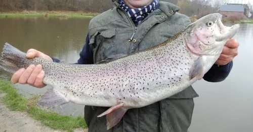 Dôme insolite en Wallonie – 2 personnes – au bord d’étangs et rivière