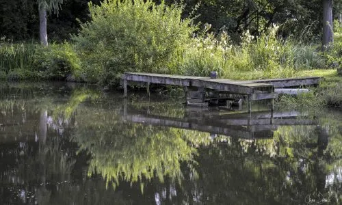 Dôme insolite en Wallonie – 2 personnes – au bord d’étangs et rivière