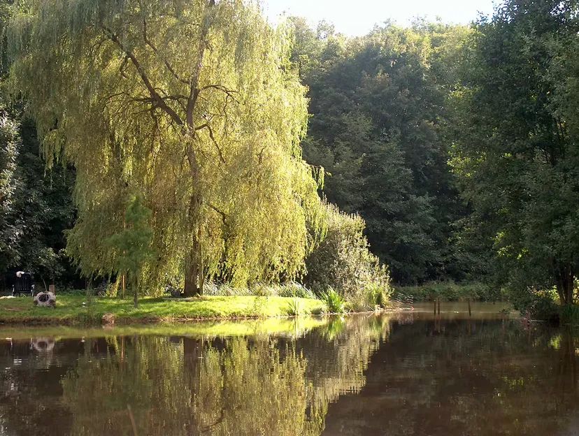Dôme insolite en Wallonie – 2 personnes – au bord d’étangs et rivière