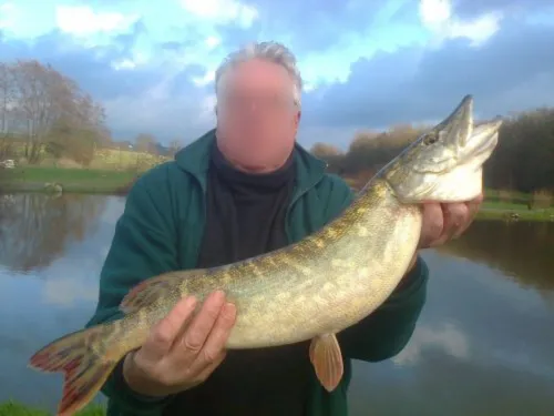 Dôme insolite en Wallonie – 2 personnes – au bord d’étangs et rivière
