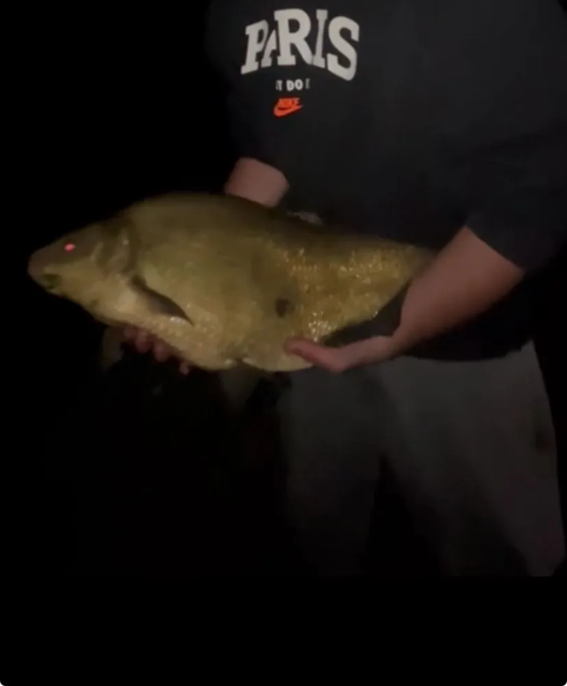 Étang de pêche privatisé pour avec plage et île - 2.8 ha