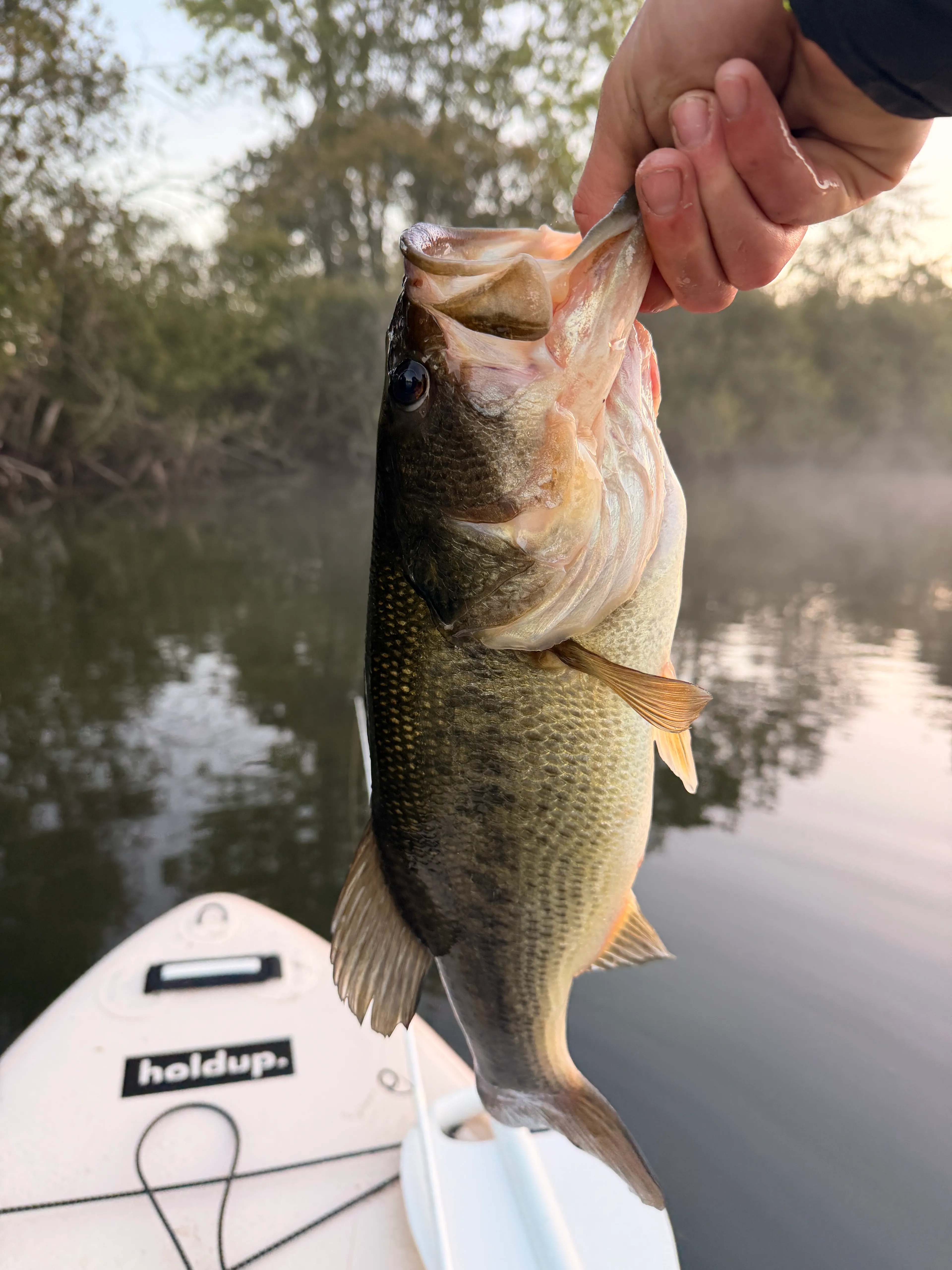 Unusual fishing trip on boat