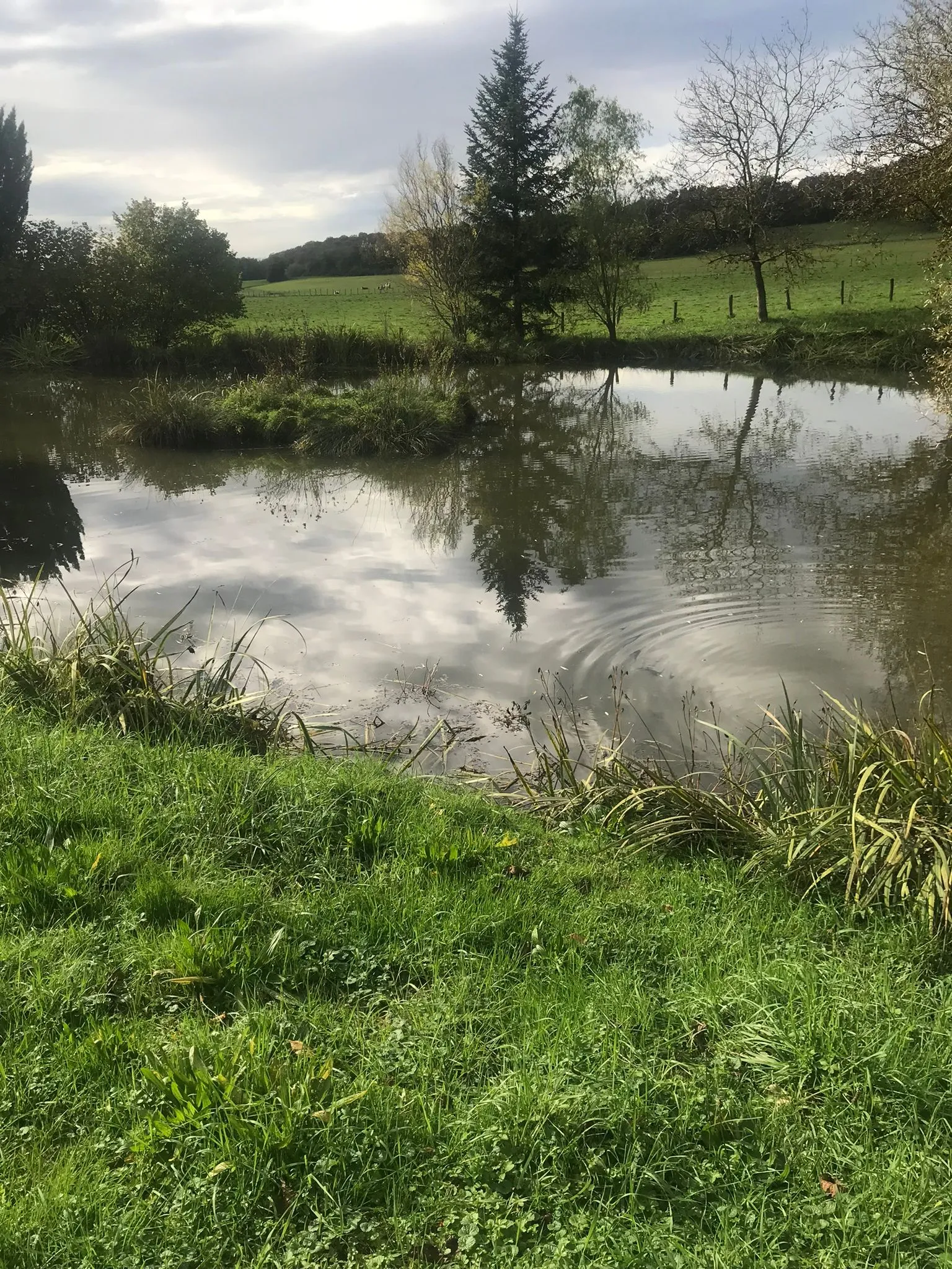 Petite maisonnette toute rénovée avec étang privé