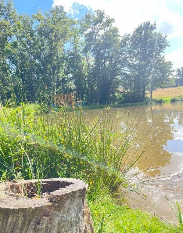 Gîte neuf avec jardin privatif, forêt et étang privé