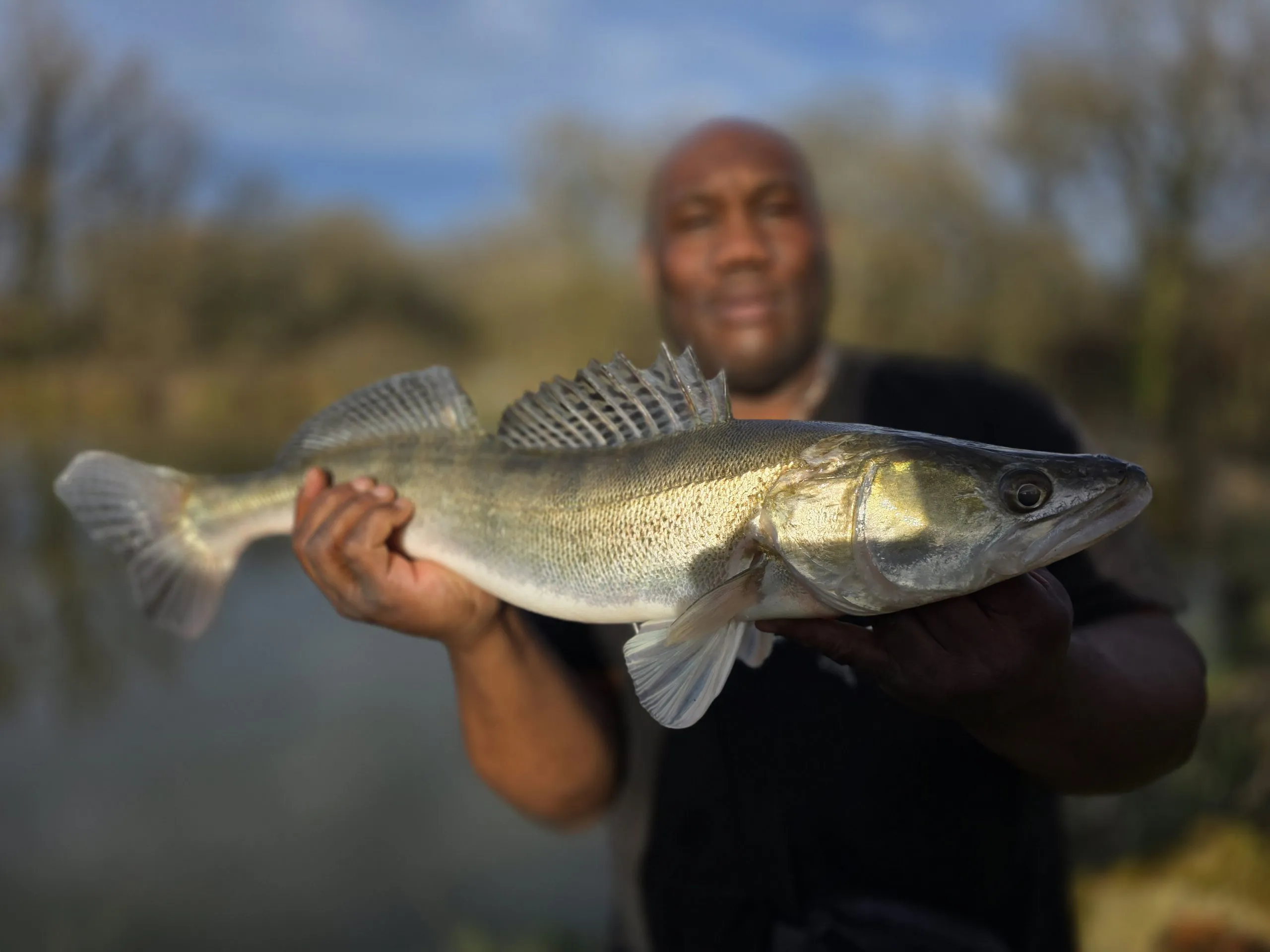 Gîte neuf avec jardin privatif, forêt et étang privé