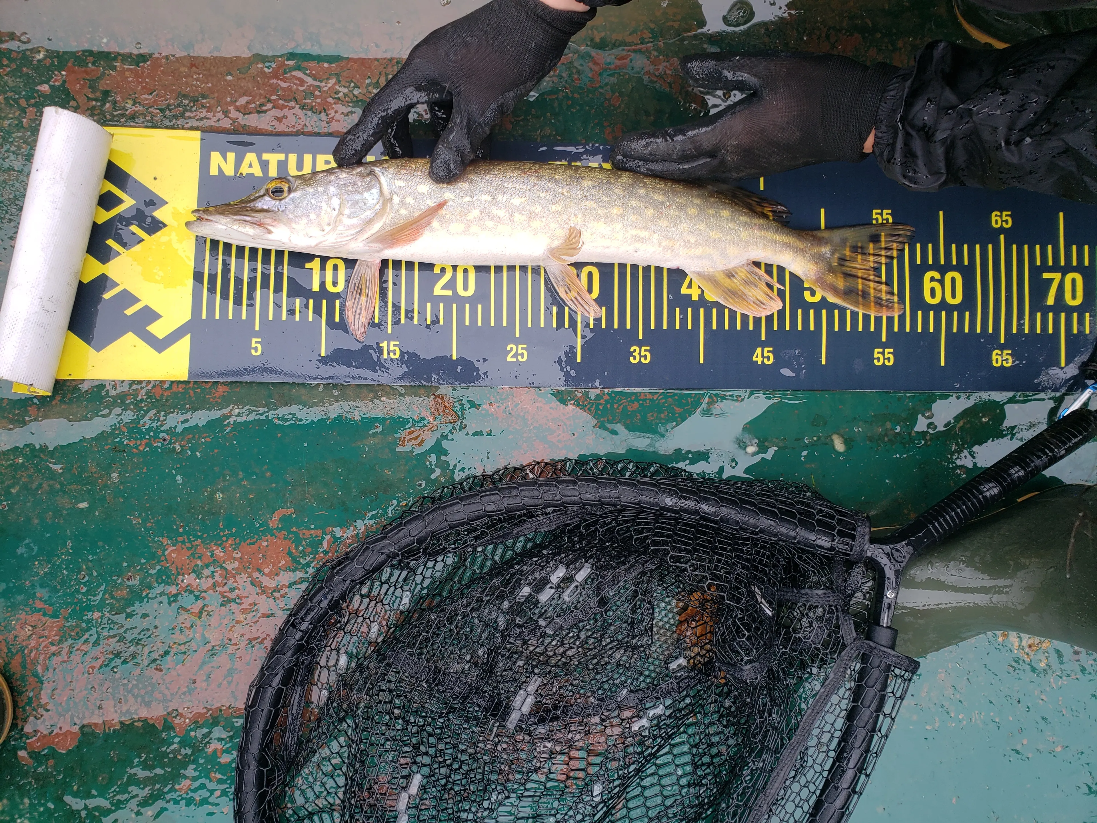 Chalet avec étang privé au cœur d’une propriété de 10 hectares