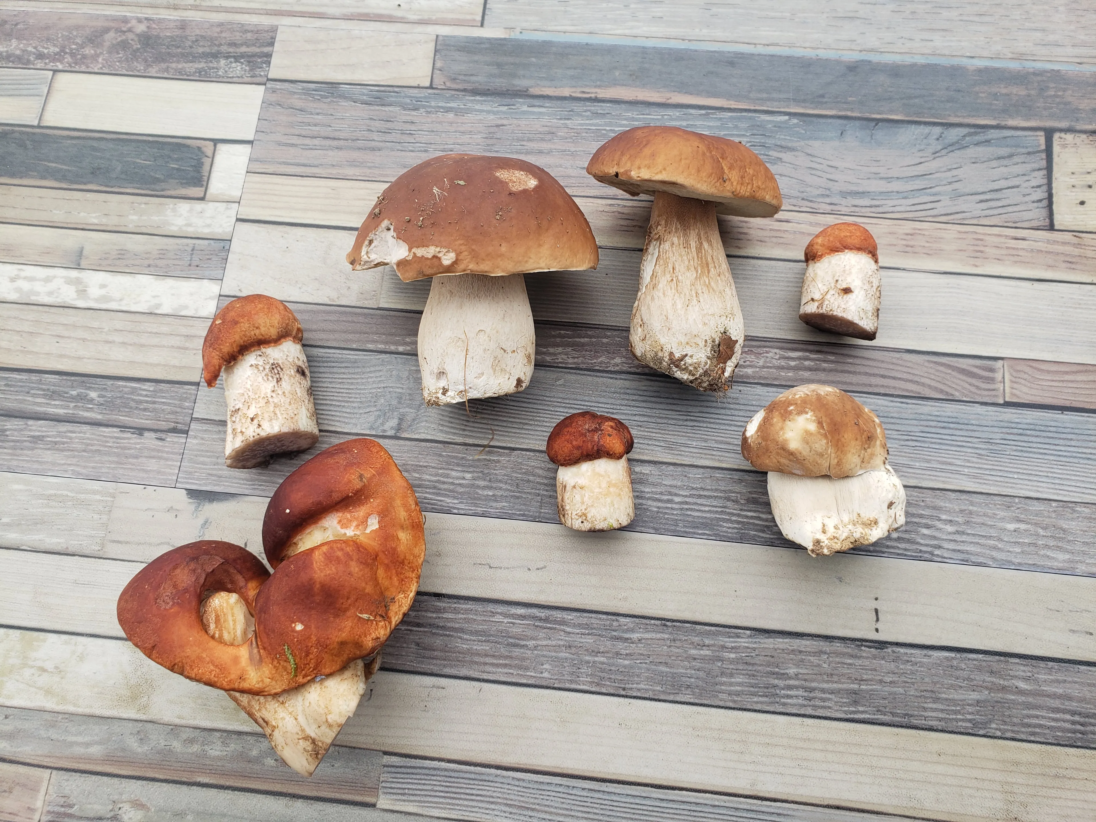 Chalet avec étang privé au cœur d’une propriété de 10 hectares