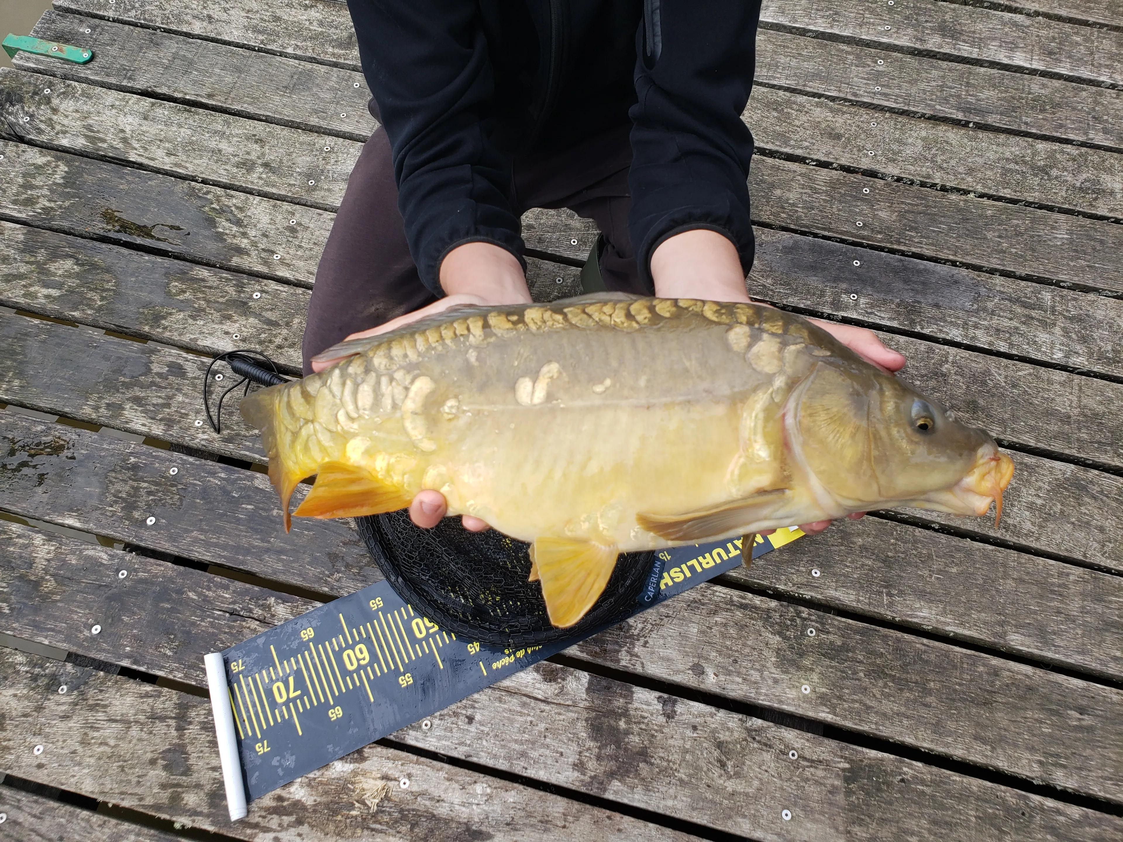 Chalet avec étang privé au cœur d’une propriété de 10 hectares