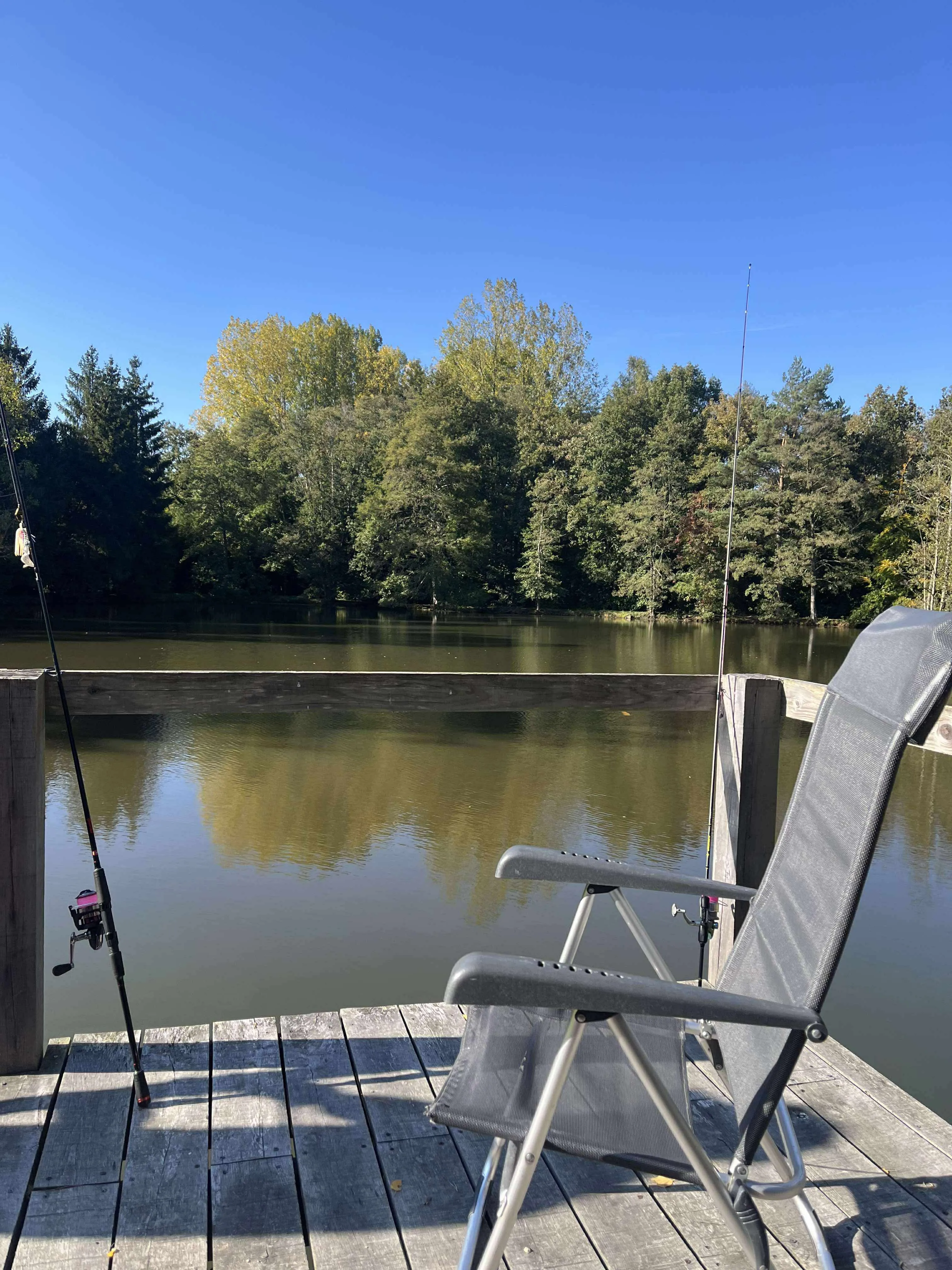 Gite de pêche dans l'Orne, chalet avec accès à 4 étangs privés